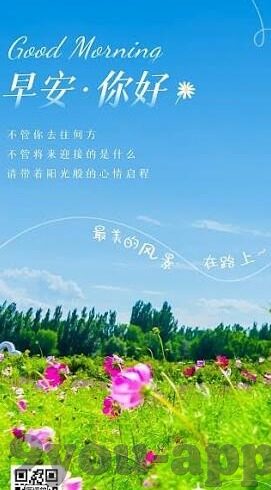 足球在线比分直播-足球在线比分直播，数字时代的绿茵狂欢盛宴